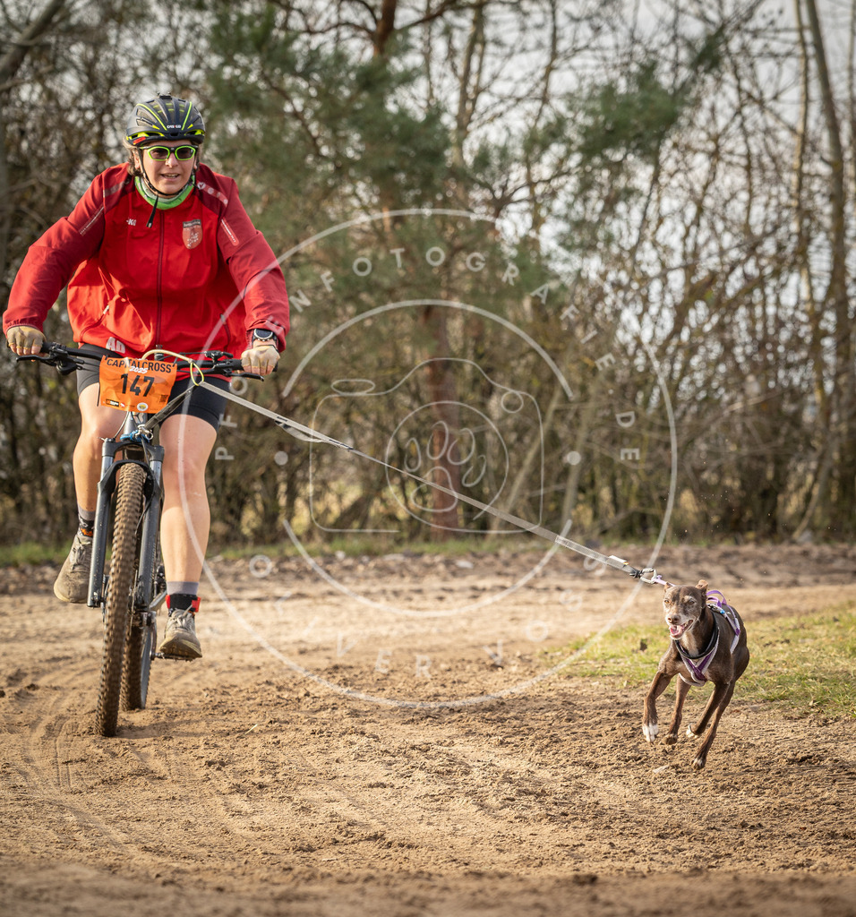 Pfotenfotografie_DV3A8909 | Hundefotografie, Tierfotograf, Pfotenfotografie, Fotoshooting Hund, Hunde Portrait, Hundesport, Hundeportraits, Heideshooting, Hunde, Sportfotograf, Hundefotograf, Turnierhundsport, THS,  - Realisiert mit Pictrs.com