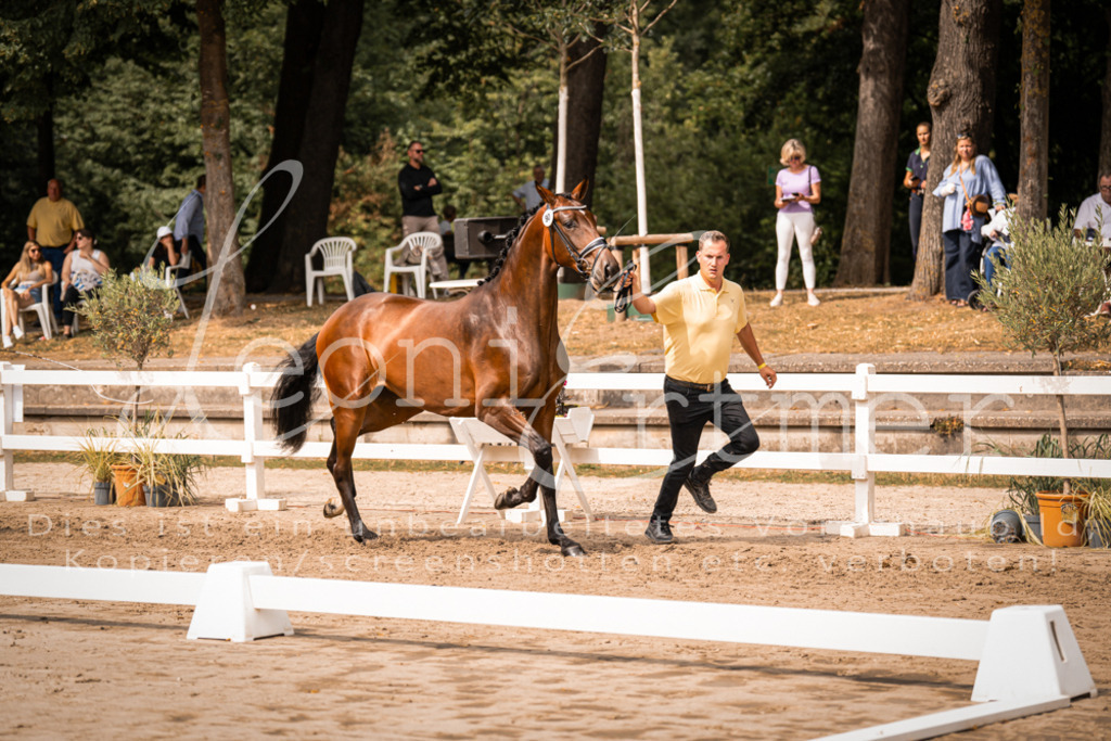 6.Fr00041 | Leoni Ertmer Photography - Realisiert mit Pictrs.com