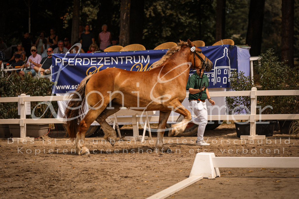 3.Sa00011 | Leoni Ertmer Photography - Realisiert mit Pictrs.com