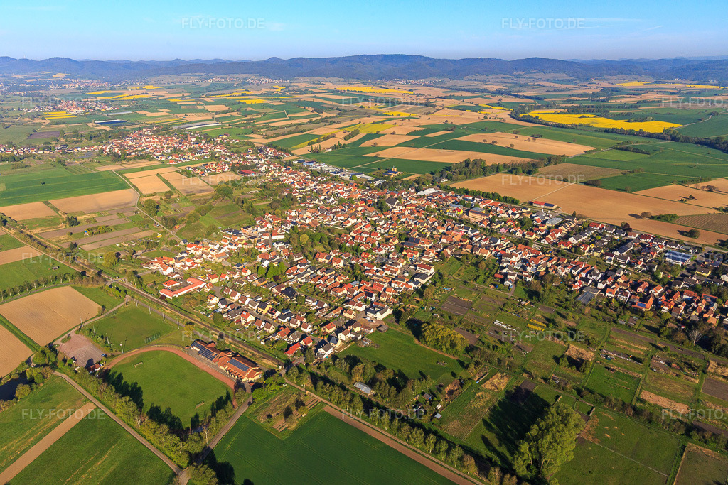 Luftbild: Ortsansicht aus Osten in Steinfeld im Bundesland Rheinland-Pfalz in Deutschland. Foto: IMG_099270.jpg vom 30.04.2017 durch Werner Riehm/FLY-FOTO.de