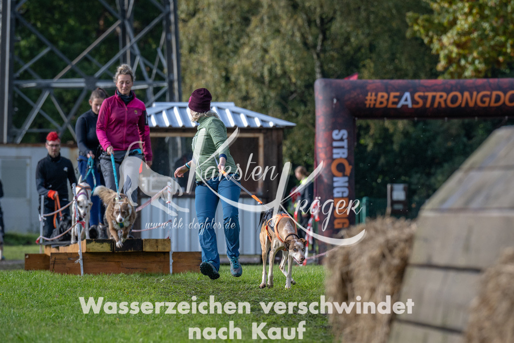 1419-94702 | kk-dogfotos