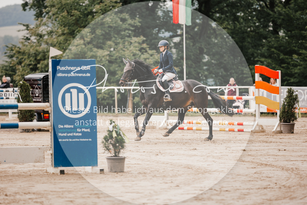3I6A1978 | Stimmungsvolle Portraits und Reitsportfotografie im Ruhrgebiet und im Münsterland.

Pferdefotografie, Hundefotografie, Tierfotografie, Reportagen, Portraits von Tier und Mensch, Turnierfotografie in Bochum, Recklinghausen, Marl, Haltern am See, Dülmen.. - Realized with Pictrs.com