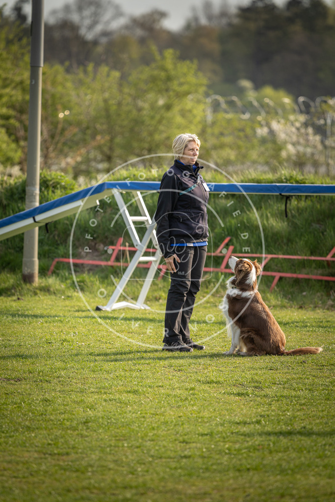 Pfotenfotografie_DV3A4792 | Hundefotografie, Tierfotograf, Pfotenfotografie, Fotoshooting Hund, Hunde Portrait, Hundesport, Hundeportraits, Heideshooting, Hunde, Sportfotograf, Hundefotograf, Turnierhundsport, THS,  - Realisiert mit Pictrs.com