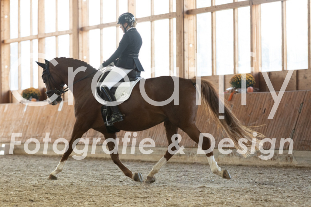 IMG_3542 | Creatify Fotografie