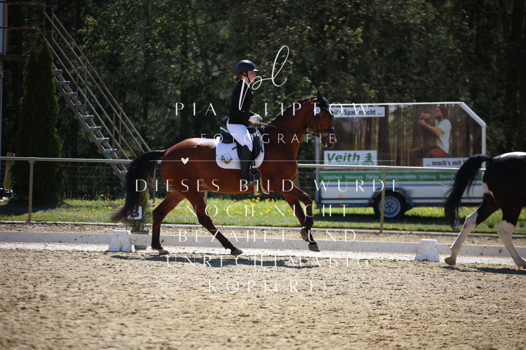 IMGT0988 | pl-fotografie