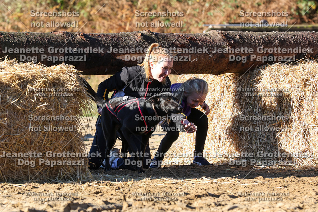 Dog Paparazzi - Strongdog 10-25-1545 | Dog Paparazzi Jeanette Grottendiek Fotografie & Videografie - Realisiert mit Pictrs.com