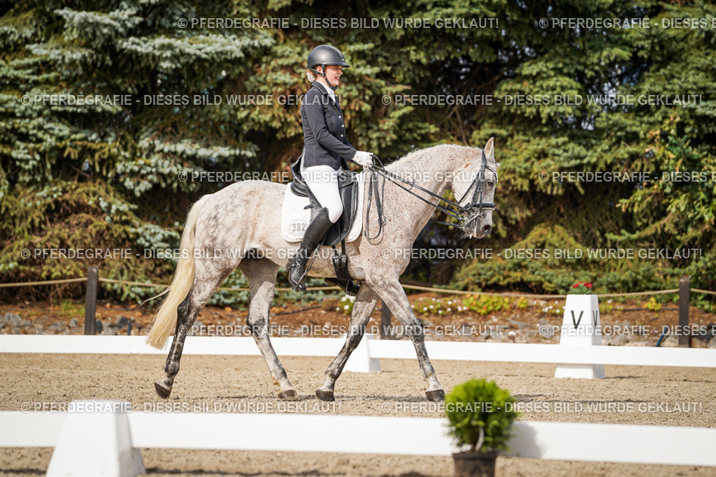 DSC07062 | Pferdegrafie