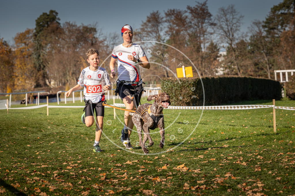 CaniXpix_0L8A6658 | Hundefotografie, Tierfotograf, Pfotenfotografie, Fotoshooting Hund, Hunde Portrait, Hundesport, Hundeportraits, Heideshooting, Hunde, Sportfotograf, Hundefotograf, Turnierhundsport, THS,  - Realisiert mit Pictrs.com