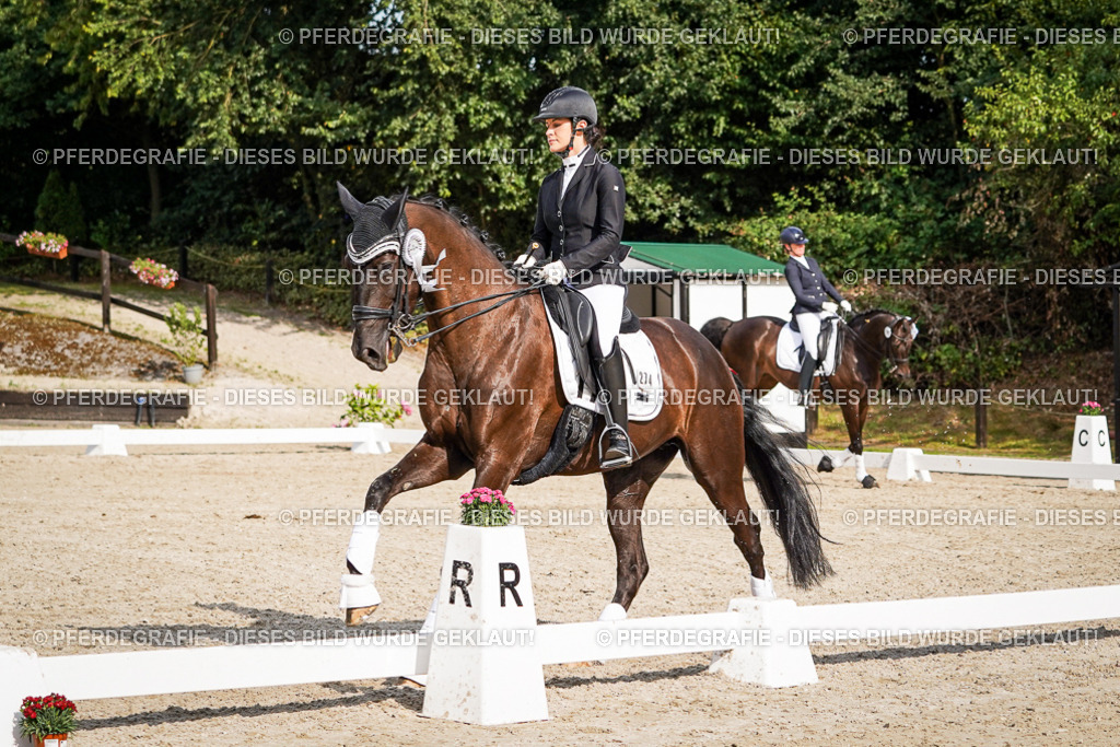 DSC07650 | Pferdegrafie