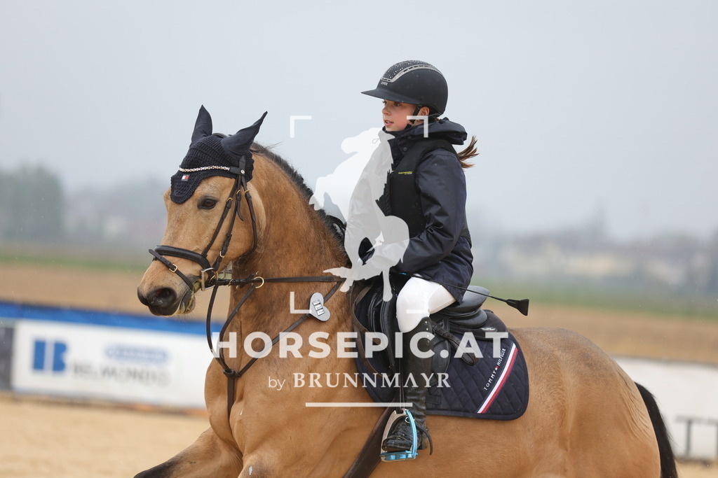 0P6A7291 | Willkommen bei Brunnmayr - Design & Fotografie – Ihrem Spezialisten für Reitturniere und Pferdeveranstaltungen in Oberösterreich, Salzburg und Bayern! Seit über 17 Jahren sind wir leidenschaftlich dabei.