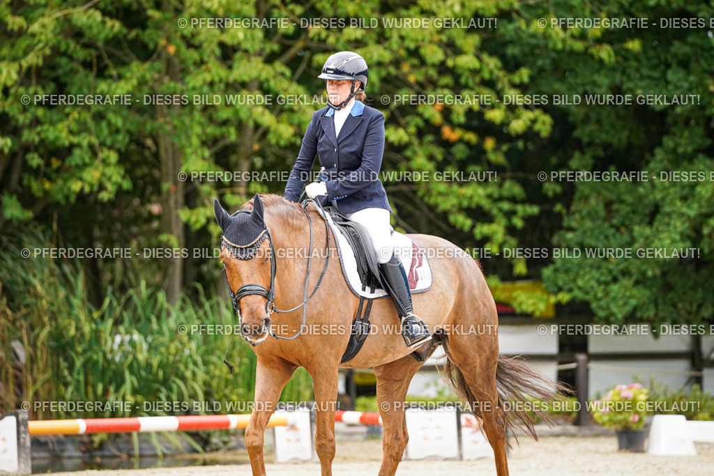 DSC07556 | Pferdegrafie