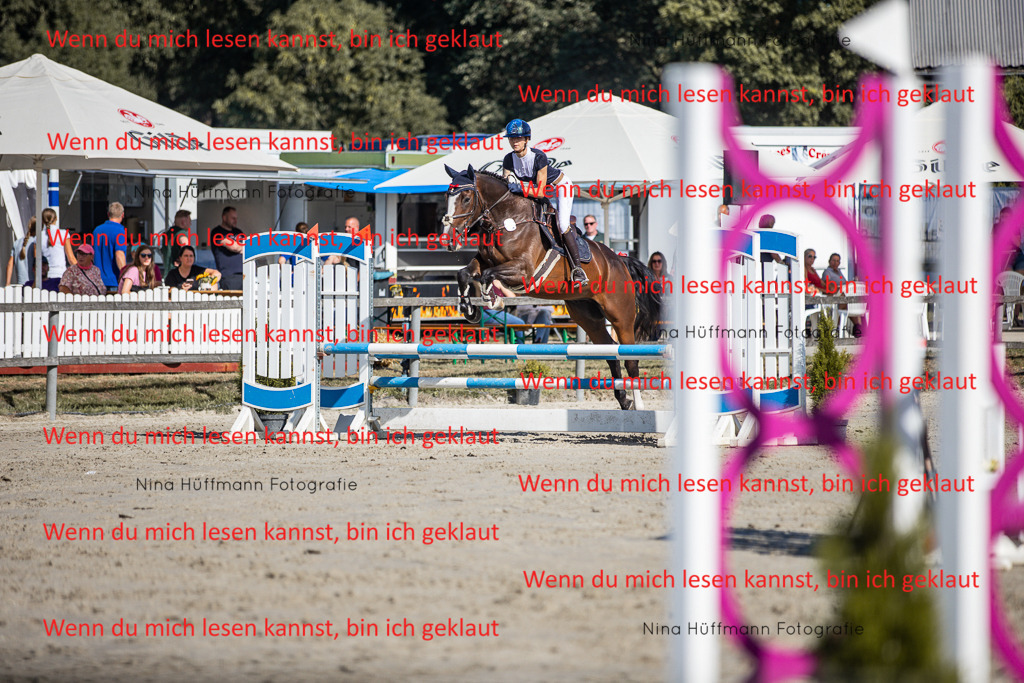 BK1A7252 | Turnierbilder Turnierfotos Nina Hüffmann Turnierfotografie Pferdefotografie Tierzeichnung Haustierzeichnung Pferdezeichnung Hundezeichnung Videograf  - Realisiert mit Pictrs.com
