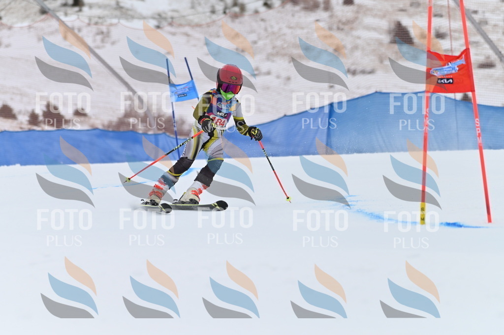 BGV_1148 | holidayphoto