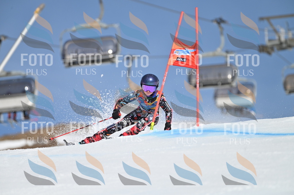 BGV_8951 | holidayphoto