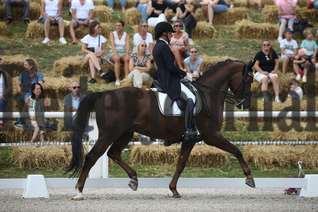 Birkhof_2022_GrandPrixSpecial_Martina Steisslinger_Favory A.S (16) | Alle Fotos der Reiterjournal Fotografin Doris Matthaes im Reiterjournal Online-Fotoshop. - Realisiert mit Pictrs.com