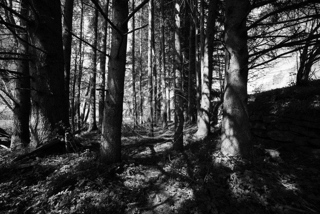 2022_04_15_2911 | Frank Herberich Fotografie, Frank Herberich, Fotografie, Hochzeit, Portrait, St. Peter Ording, Ording, Westerhever, Nordsee, Frank Fotografie, Hardheim,  Odenwald,Walldürn, Band,Eventfotografie - Realisiert mit Pictrs.com