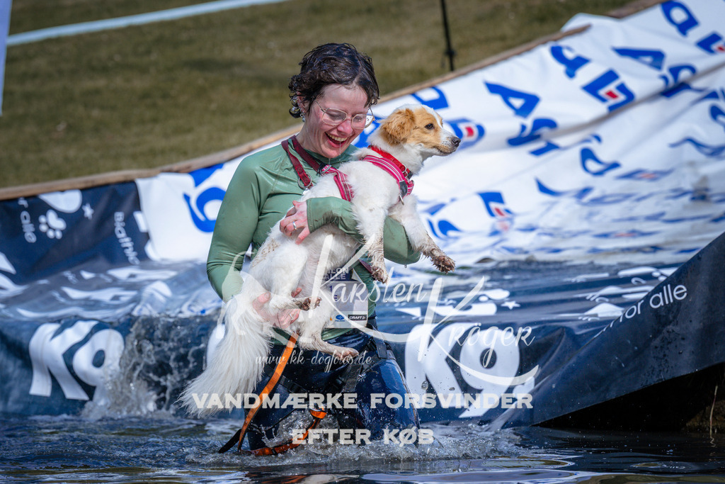 _ZZ995380834 | kk-dogfotos