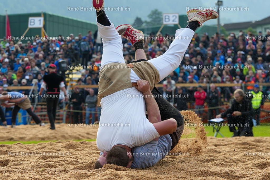 RB_07933-2 | René Burch leidenschaftlicher Fotograf aus Kerns in Obwalden.  Hier finden sie Sport, Landschaft und Natur Fotografie.
 - Realisiert mit Pictrs.com