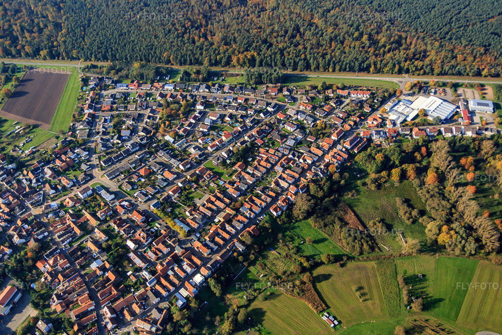 Luftbild: Römerring in Berg im Bundesland Rheinland-Pfalz in Deutschland. Foto: IMG_075804.jpg vom 02.11.2014 durch Werner Riehm/FLY-FOTO.de
