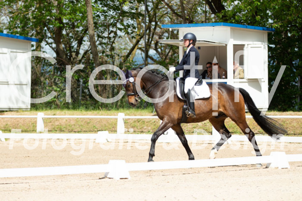 IMG_5629 | Creatify Fotografie