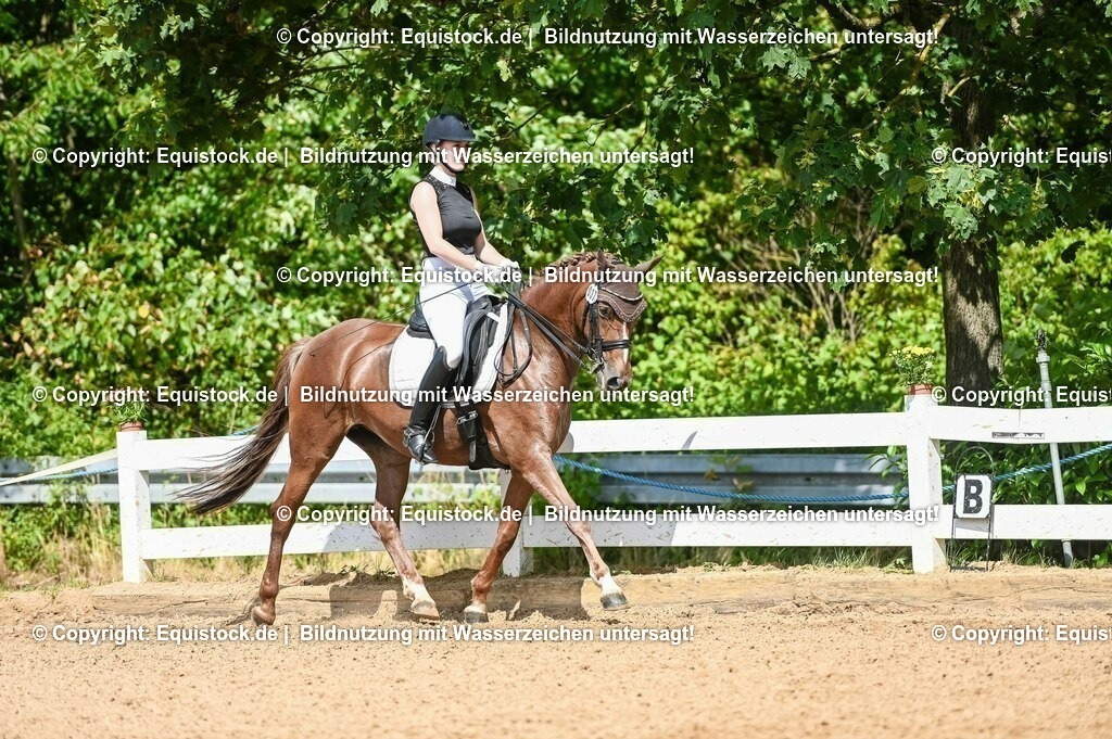 20230716_01_Dressurprüfung Kl.M_0320 | equistock