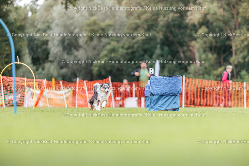 BSP Hoopers-H2-2026-Nickbest-Hundefotografie-TuS Komet Arsten e.V.-5384 | Dein Hund! Dein Moment! Deine Erinnerungen! Hundefotografie in Bremen Blumenthal. Ich fange die besonderen Momente deines Vierbeiners ein – ob Indoor mit Blitzanlage oder in der freien Natur. Sicher dir dein Moment und dein Termin für eure Erinnerungen.