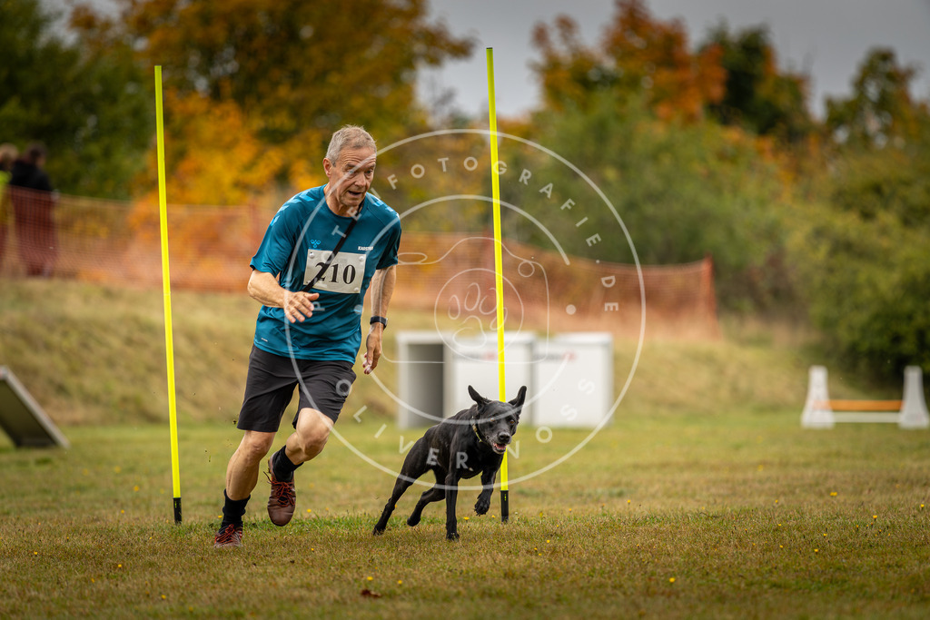 Pfotenfotografie_DV3A2377 | Hundefotografie, Tierfotograf, Pfotenfotografie, Fotoshooting Hund, Hunde Portrait, Hundesport, Hundeportraits, Heideshooting, Hunde, Sportfotograf, Hundefotograf, Turnierhundsport, THS,  - Realisiert mit Pictrs.com