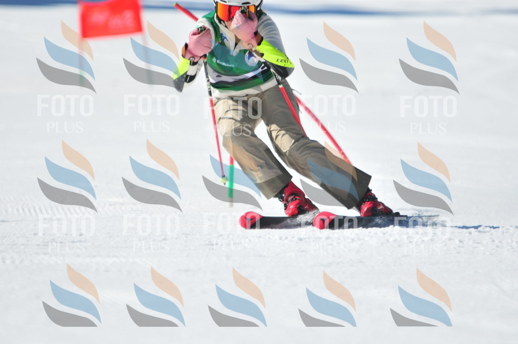 C4220 | holidayphoto