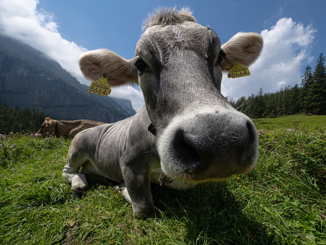 P7280231 | Carismarkus, Fotografie, Lost Places, Urbex, Stilvoll, Akt, Nude, Fine Arts, Adventure, Beauty in decay - Realisiert mit Pictrs.com