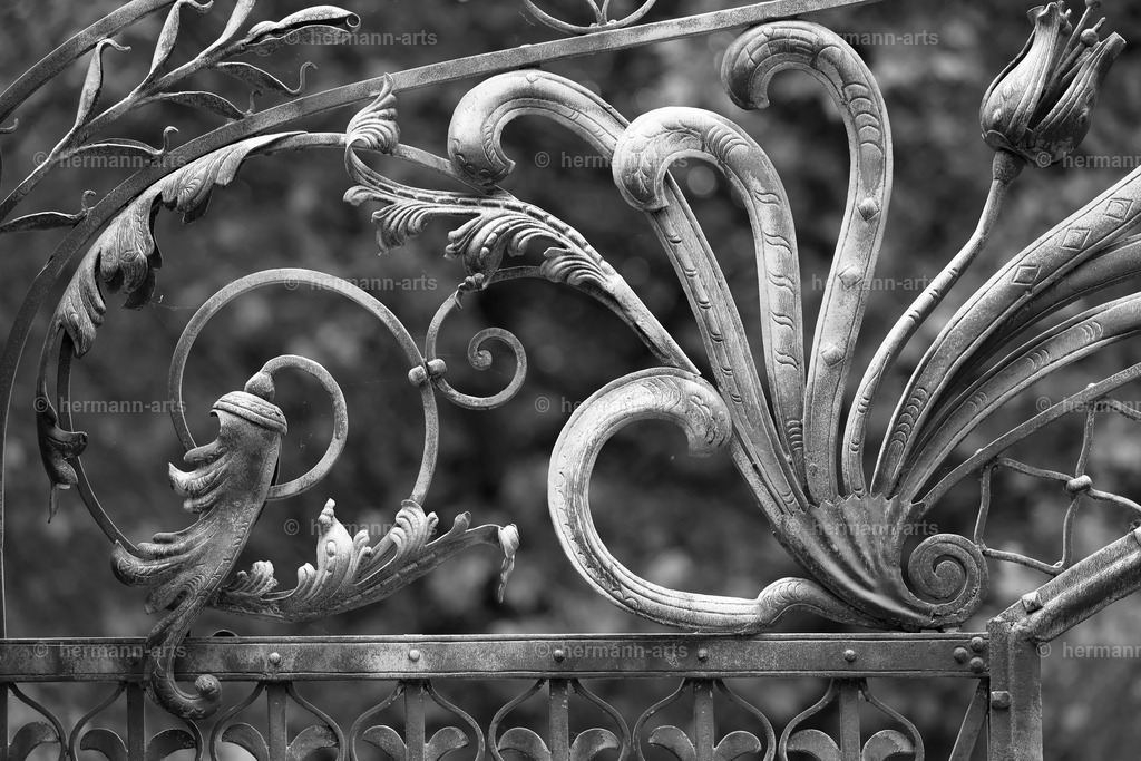 Hermann-Arts_Barockes Tor_040 | Photo Foto Kunst Art schwarzweiss Bilder Rheine Münster Berlin Blumen 