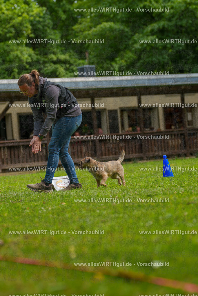 @allesWIRTHgut_Tierfotografie - www.allesWIRTHgut.de - 7R501967 | Professionelle Tierfotografie in Mönchengladbach von Daniel Wirth (allesWIRTHgut). Liebevolle & natürliche Bilder von Hunden & Katzen für unvergessliche Erinnerungen.