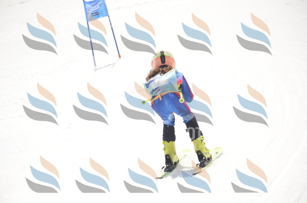 _ELE8536 | holidayphoto