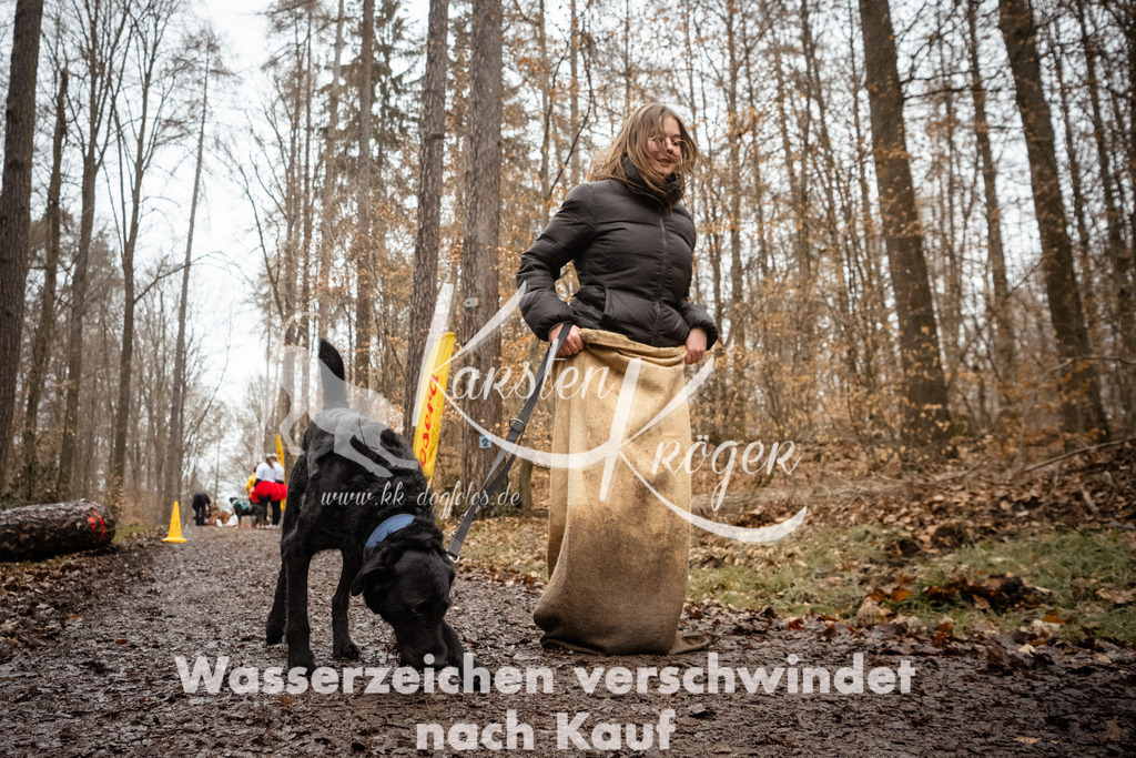 1214_ZZ94761 | kk-dogfotos
