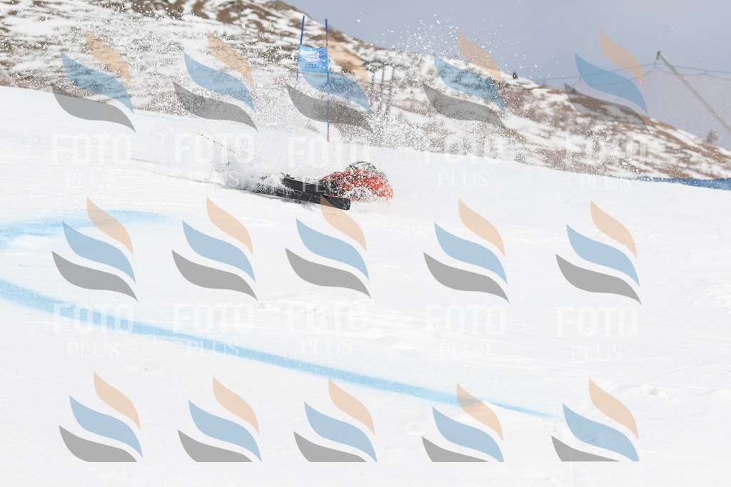 _U3G1535 | holidayphoto