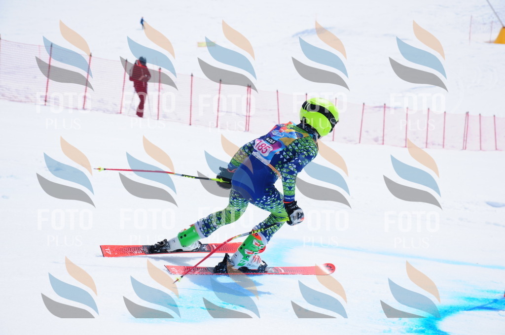 DSC_5626 | holidayphoto