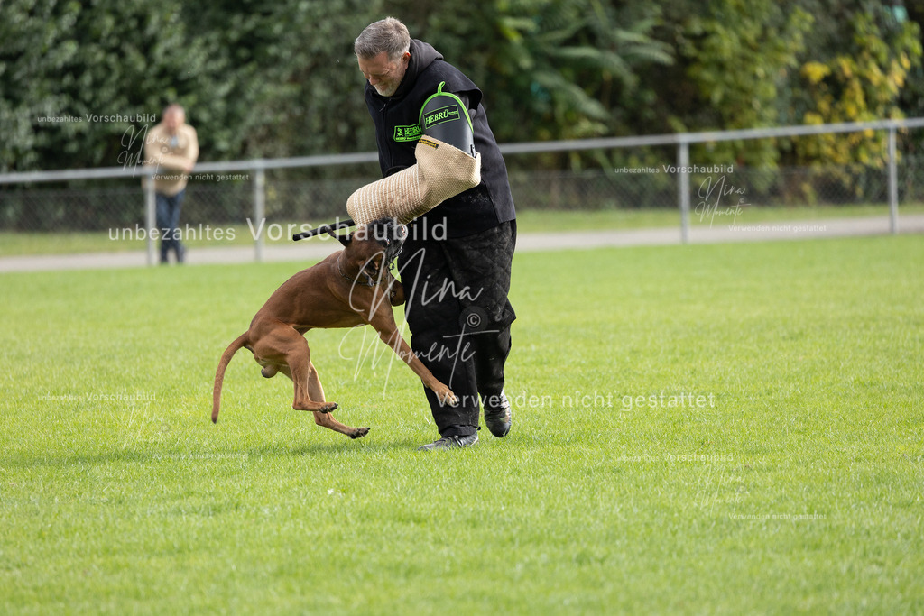 _16A7068 | Einzigartige Fotos von Hunden & Menschen –Actionfotos, Portraits, Vereinsaufnahmen & Paarshootings – authentisch, lebendig & mit Herz.