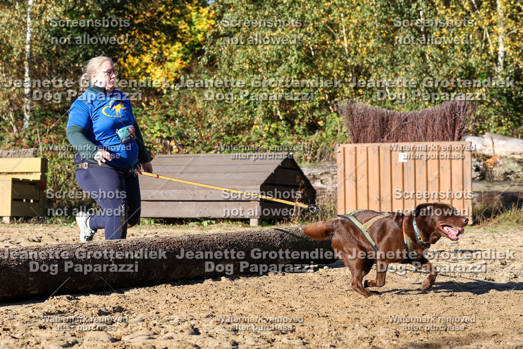 Dog Paparazzi - Strongdog 10-25-1671 | Dog Paparazzi Jeanette Grottendiek Fotografie & Videografie - Realisiert mit Pictrs.com