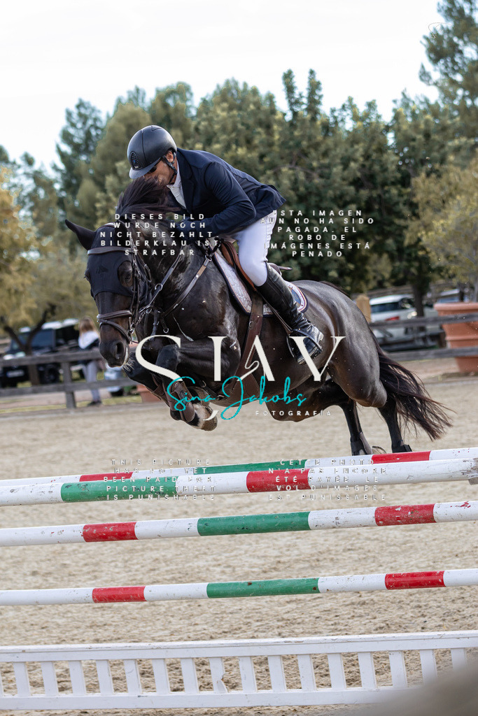 IMG_0646 | s-jay-photography - Realisiert mit Pictrs.com