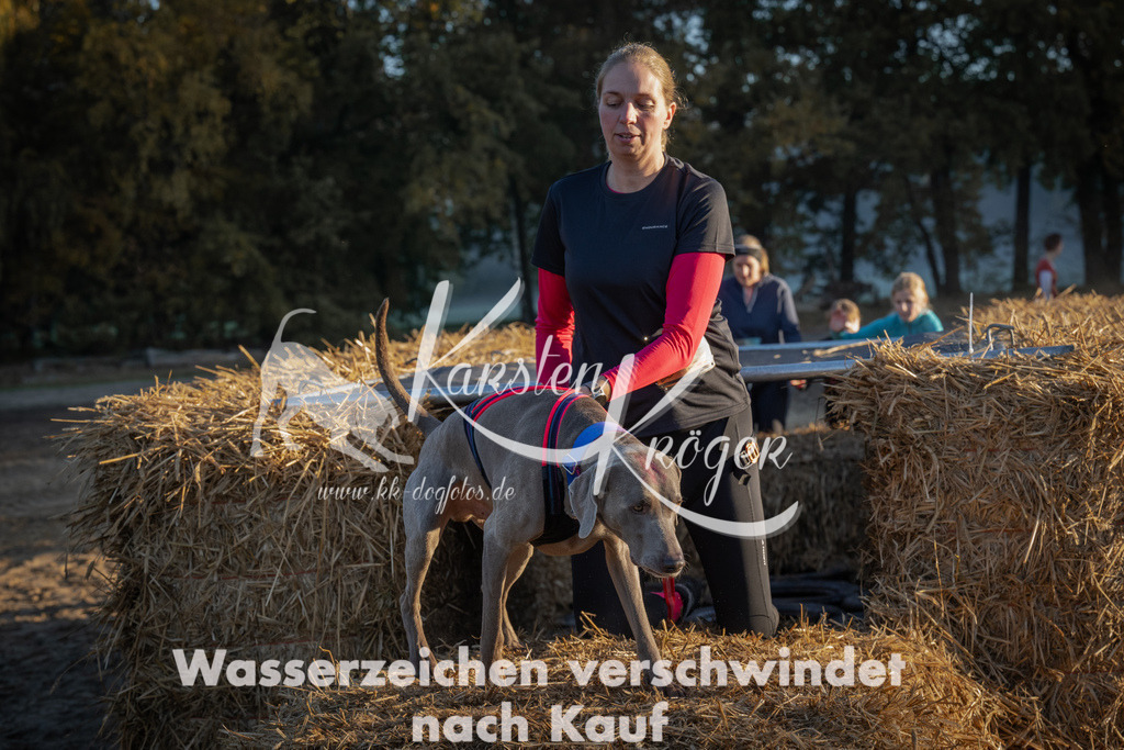 0908_ZZ91585 | kk-dogfotos