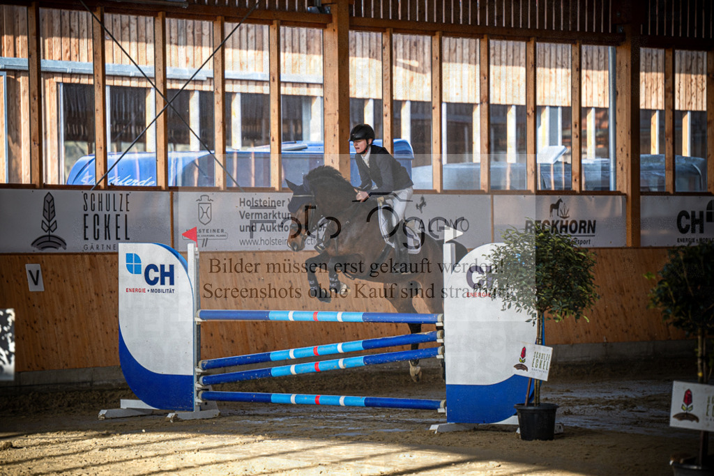 DOS_0299 | Entdecke hochwertige Reitturnierfotos von Foto Oger. Professionell, emotional und authentisch – jetzt Lieblingsmomente im Shop bestellen.Deutschlandweite Turnierfotografie. - Realisiert mit Pictrs.com