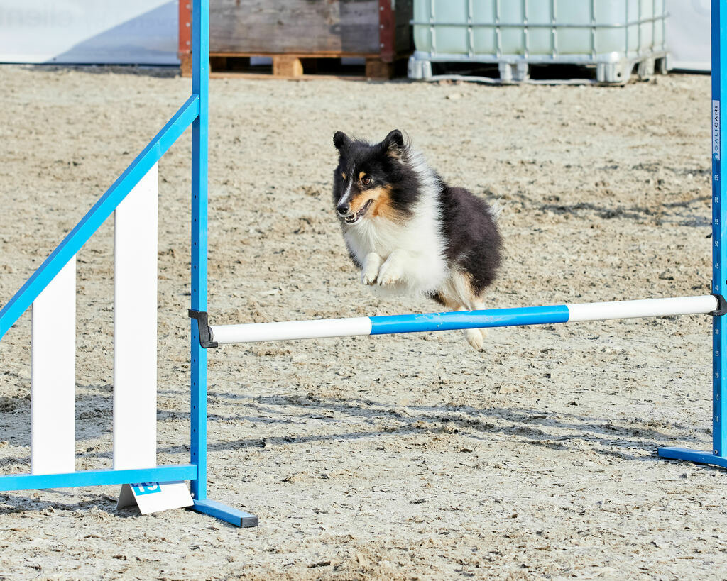 580B0026 | Peter Fridle Fotografie - Realisiert mit Pictrs.com