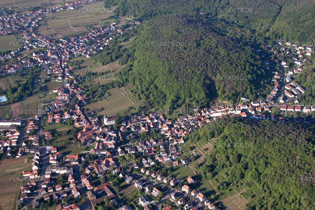 Luftbild: Weinbergen im Ortsteil Hambach an der Weinstraße im Ortsteil Hambach an der Weinstraße in Neustadt im Bundesland Rheinland-Pfalz in Deutschland. Foto: IMG_64685.jpg vom 04.05.2014 durch Werner Riehm/FLY-FOTO.de