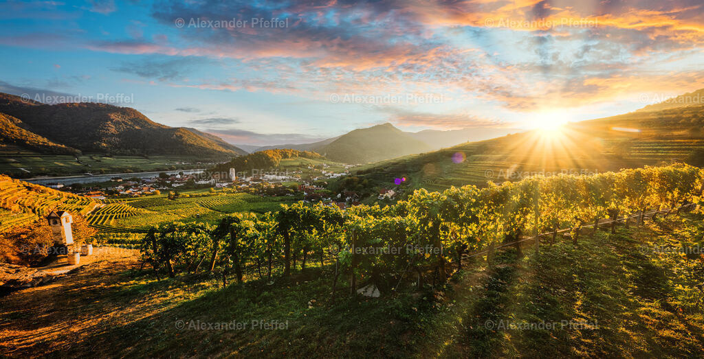 foto_c_pfeffel-partner-0089-R51_0249-HDR-Bearbeitet-Bearbeitet | alexander-pfeffel - Realisiert mit Pictrs.com