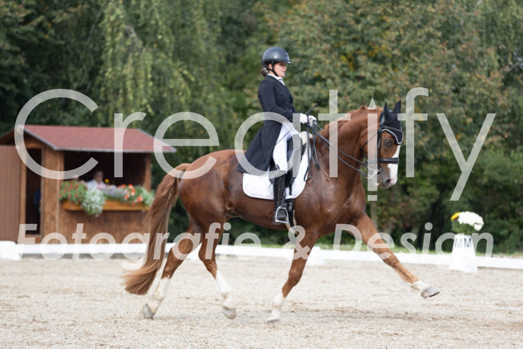 IMG_4730 | Creatify Fotografie