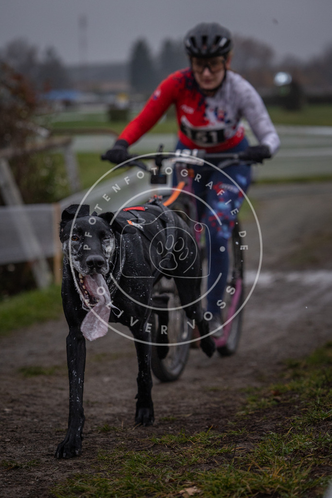 CaniXpix_0L8A0506 | Hundefotografie, Tierfotograf, Pfotenfotografie, Fotoshooting Hund, Hunde Portrait, Hundesport, Hundeportraits, Heideshooting, Hunde, Sportfotograf, Hundefotograf, Turnierhundsport, THS,  - Realisiert mit Pictrs.com