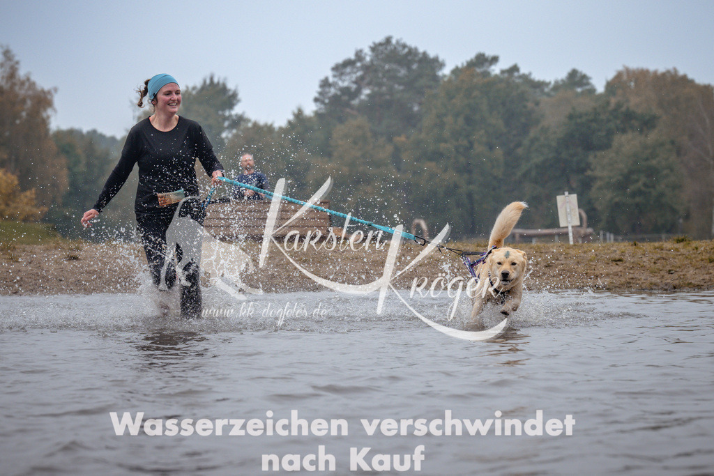 1017_ZZ98962 | kk-dogfotos