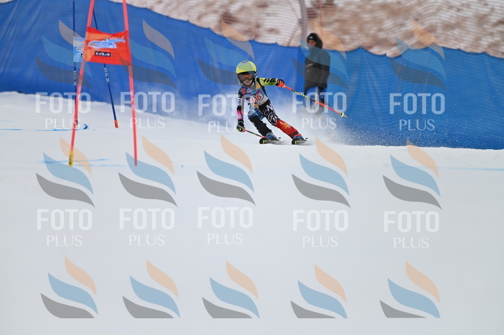 BGV_1171 | holidayphoto