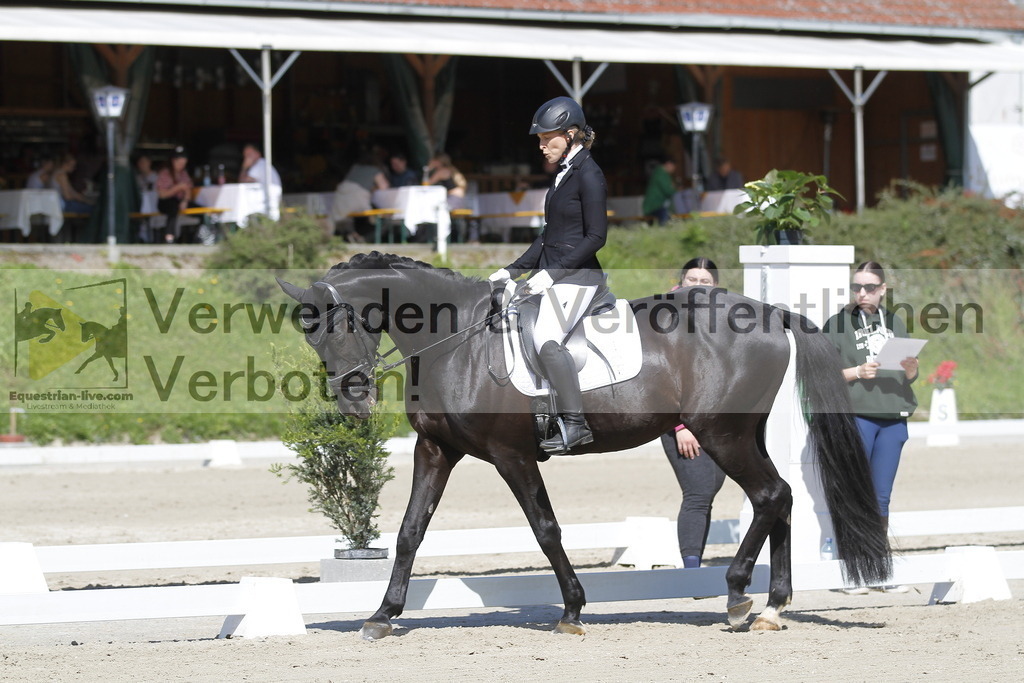 _MG_6735 | equestrian-live-com