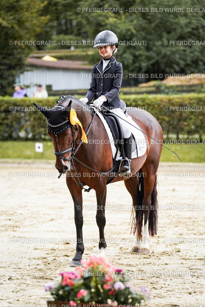 DSC05754 | Pferdegrafie