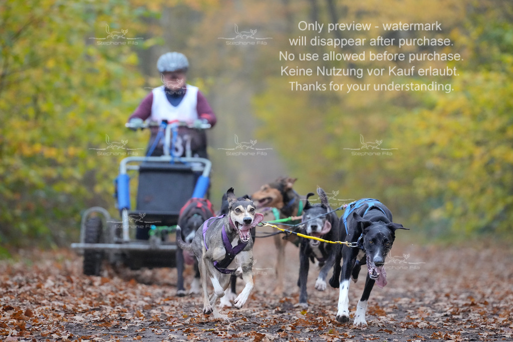 Rigs4bis8So-86 | stephaniefillaphotographie - Realisiert mit Pictrs.com